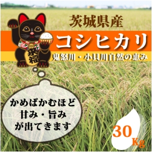 【送料無料】コシヒカリ30Kg（5Kg×6袋）
