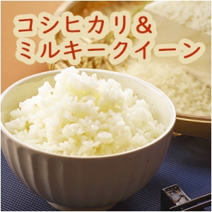 【送料無料】コシヒカリ+ミルキークイン食べ比べセット10Kg（5Kg×2袋）